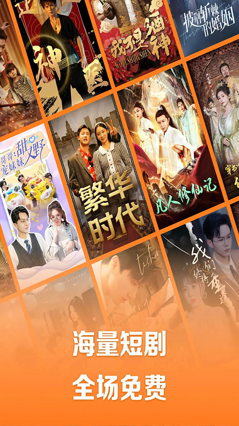 趴在窗台凝视飞鸟的布偶猫壁纸